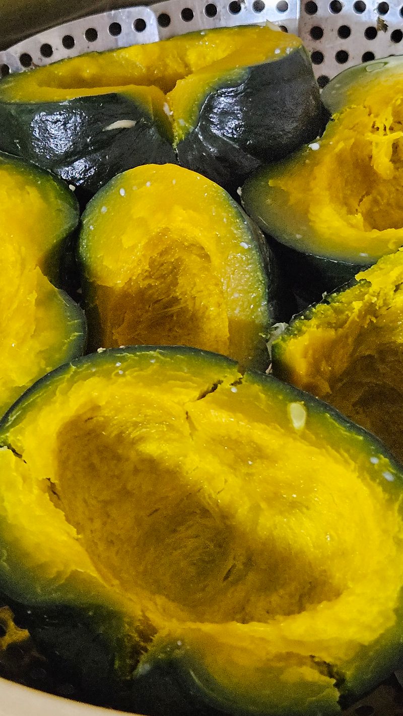 박재영님의 장터 판매 상품 [못난이단호박] 첨부 사진