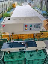 팜모닝 고추·영농일지 게시글 이미지