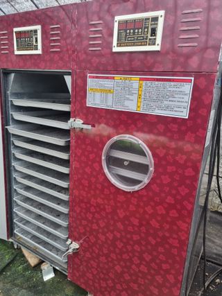 태풍한가름님의 고추 · 영농일지 작성글 사진