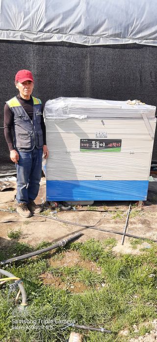 태풍한가름님의 고추 · 영농일지 작성글 사진