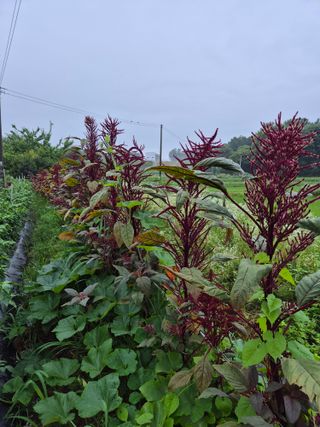 남종희님의 자유주제 · 자유게시판 작성글 사진