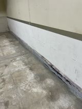 팜모닝 자유주제·자유게시판 게시글 이미지