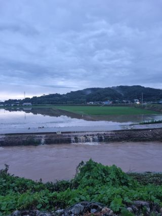 이규현님의 벼 · 영농일지 작성글 사진