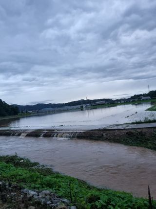 이규현님의 벼 · 영농일지 작성글 사진
