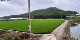 김영래큰집참농장한우님의 자유주제 · 자유게시판 작성글 사진