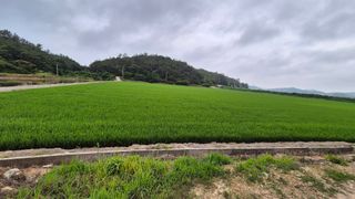 김영래큰집참농장한우님의 자유주제 · 자유게시판 작성글 사진