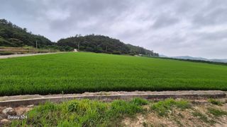 김영래큰집참농장한우님의 자유주제 · 자유게시판 작성글 사진