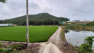 김영래큰집참농장한우님의 자유주제 · 자유게시판 작성글 사진
