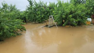 조태현님의 자유주제 · 자유게시판 작성글 사진
