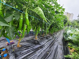 이학성님의 🎉상반기 결산 자랑하기 · 참여글 작성글 사진