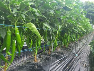 이학성님의 🎉상반기 결산 자랑하기 · 참여글 작성글 사진