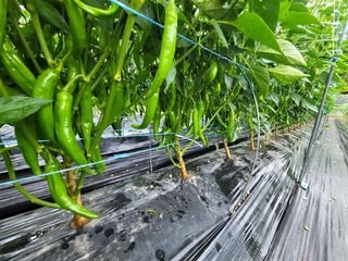 이학성님의 🎉상반기 결산 자랑하기 · 참여글 작성글 사진