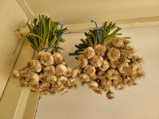 이학성님의 🎉상반기 결산 자랑하기 · 참여글 작성글 사진