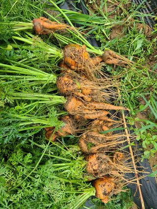 소암님의 자유주제 · 자유게시판 작성글 사진