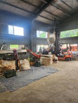 팜모닝 🎉상반기 결산 자랑하기·참여글 게시글 이미지