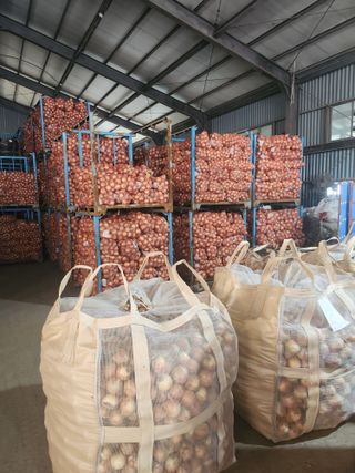 임민식님의 🎉상반기 결산 자랑하기 · 참여글 작성글 사진