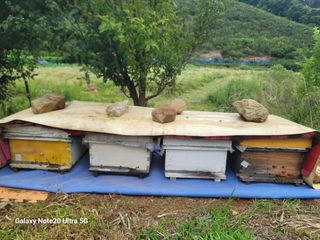 사리실님의 🎉상반기 결산 자랑하기 · 참여글 작성글 사진