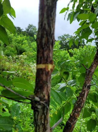 허 동길(길이농장)님의 자유주제 · 자유게시판 작성글 사진