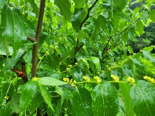 허 동길(길이농장)님의 자유주제 · 자유게시판 작성글 사진