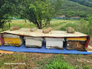 사리실님의 🎉상반기 결산 자랑하기 · 참여글 작성글 사진