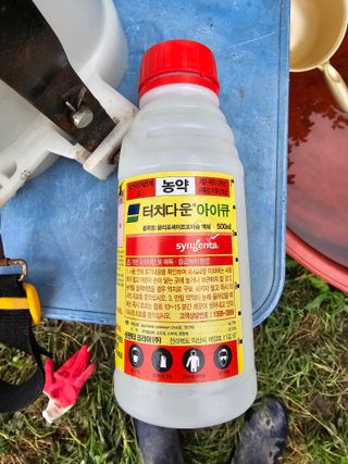 손영만님의 콩 · 영농일지 작성글 사진