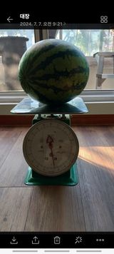 팜모닝 자유주제·자유게시판 게시글 이미지