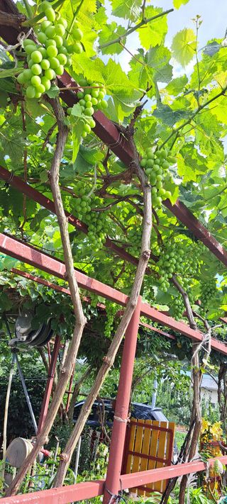 콩18930님의 자유주제 · 자유게시판 작성글 사진