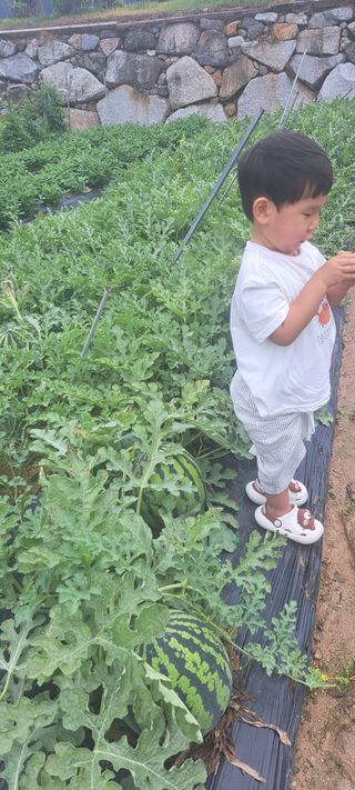 콩18930님의 자유주제 · 자유게시판 작성글 사진