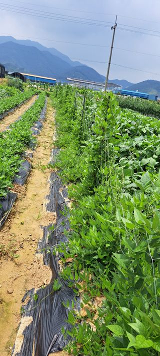 콩18930님의 자유주제 · 자유게시판 작성글 사진