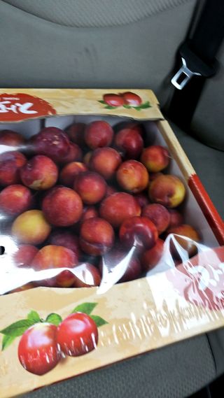 천승준님의 자유주제 · 자유게시판 작성글 사진