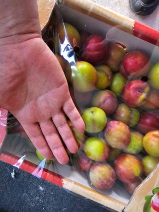 천승준님의 자유주제 · 자유게시판 작성글 사진