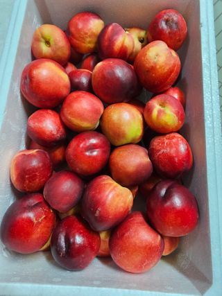 천승준님의 자유주제 · 자유게시판 작성글 사진