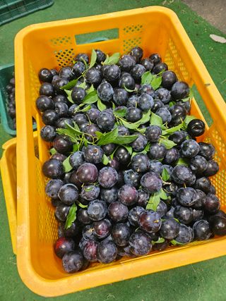 천승준님의 자유주제 · 자유게시판 작성글 사진