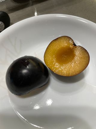 천승준님의 자유주제 · 자유게시판 작성글 사진