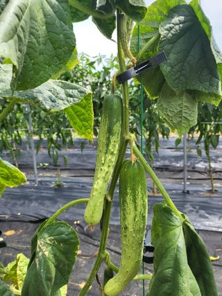 노후를풍요롭게님의 🎉상반기 결산 자랑하기 · 참여글 작성글 사진