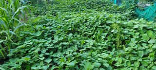 차동근님의 자유주제 · 사진전 작성글 사진