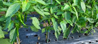 차동근님의 자유주제 · 사진전 작성글 사진