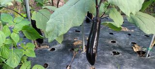 차동근님의 자유주제 · 사진전 작성글 사진