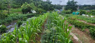 차동근님의 자유주제 · 사진전 작성글 사진