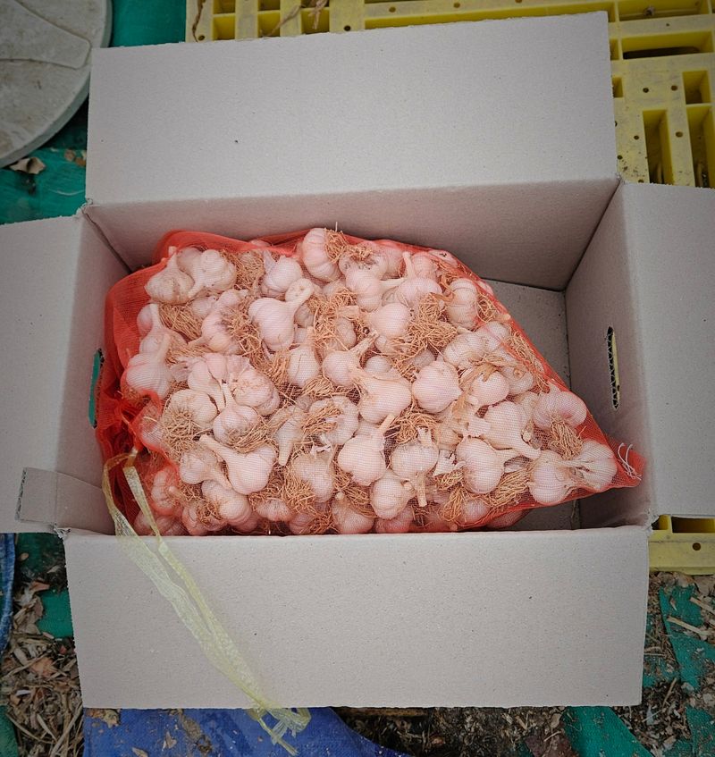 전유나님의 장터 판매 상품 [판매종료] 첨부 사진