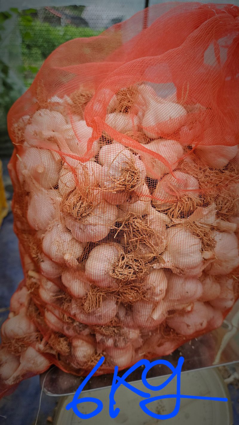 전유나님의 장터 판매 상품 [판매종료] 첨부 사진