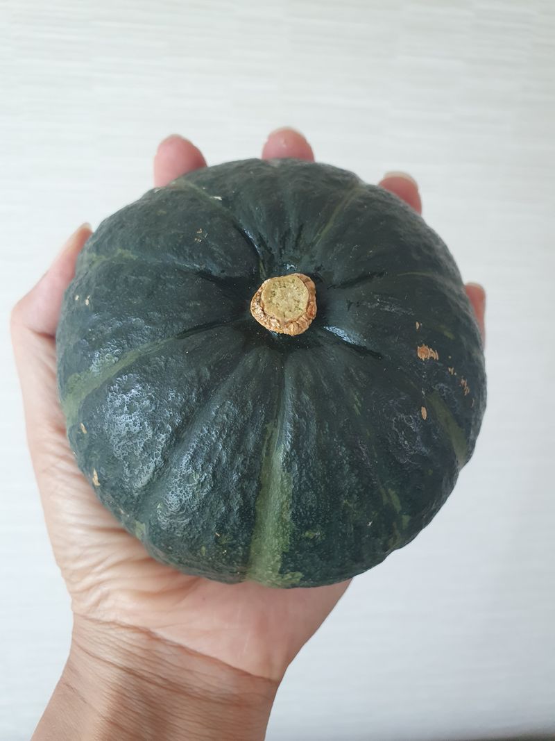 김미옥님의 장터 판매 상품 [제주산 미니 단호박 3kg] 첨부 사진