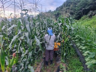 문병열님의 팜모닝 · 출석 작성글 사진