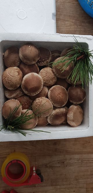 김영복님의 🎉상반기 결산 자랑하기 · 참여글 작성글 사진