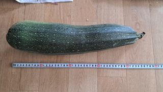 김영일 님의 자유주제 · 자유게시판 작성글 사진