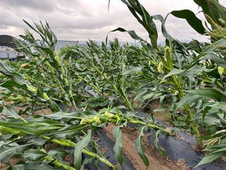 김윤희님의 자유주제 · 자유게시판 작성글 사진