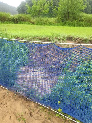 희상님의 자유주제 · 자유게시판 작성글 사진