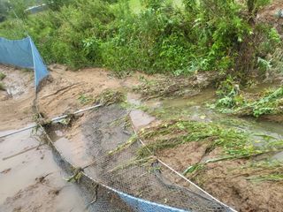희상님의 자유주제 · 자유게시판 작성글 사진