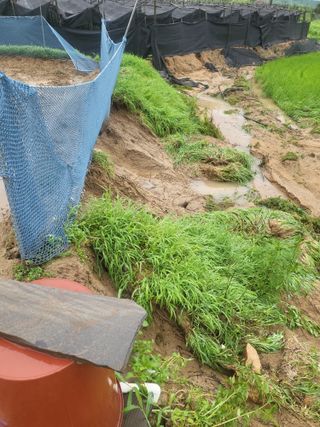 희상님의 자유주제 · 자유게시판 작성글 사진