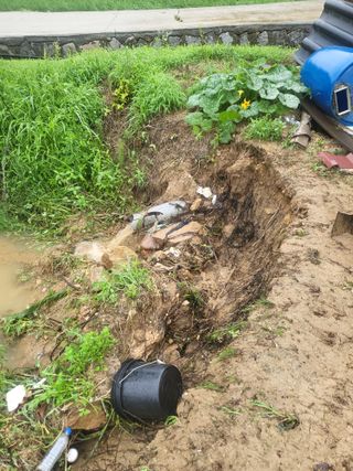 희상님의 자유주제 · 자유게시판 작성글 사진